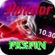 pkspin VIP vv4.5.8