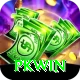 PKWin Plus Edition v3.1.1