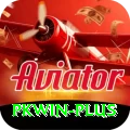 pkwin Premium Plus v2.7.6
