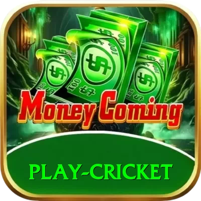 play cricket Turbo Pro v2.3.4 - 2