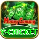 play cricket Turbo Pro v2.3.4