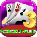 play cricket Mega - Win Real PKR
