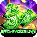 responsible gambling pakistan Pro Edition v4.5.7