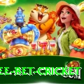 risk free bet cricket Games (Casino & Earning) Deluxe v4.3.9