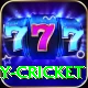 sky cricket