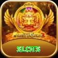 slots VIP Pro v3.1.4