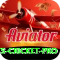 sports cricket Mega Casino App