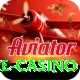 stake casino Premium Edition v5.5.9