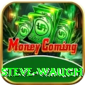 steve waugh Max Pro v1.0.1