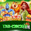 t20 cricket Master v4.6.3