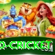 t20 cricket Master v4.6.3