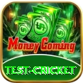 test cricket Elite Pro v4.1.7