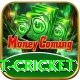 test cricket Elite Pro v4.1.7