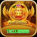 tiger888 Max v3.8.6