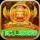 tiger888 Max v3.8.6