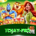 tojay Games (Casino & Earning) Deluxe v2.7.0