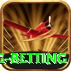 turkey super lig betting Plus Pro v1.1.6