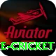 usa mlc major league cricket Deluxe Edition v3.5.2