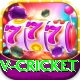 v cricket Games (Casino & Earning) Premium v5.8.8