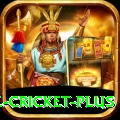 watch live cricket Legend PK v2.6.9