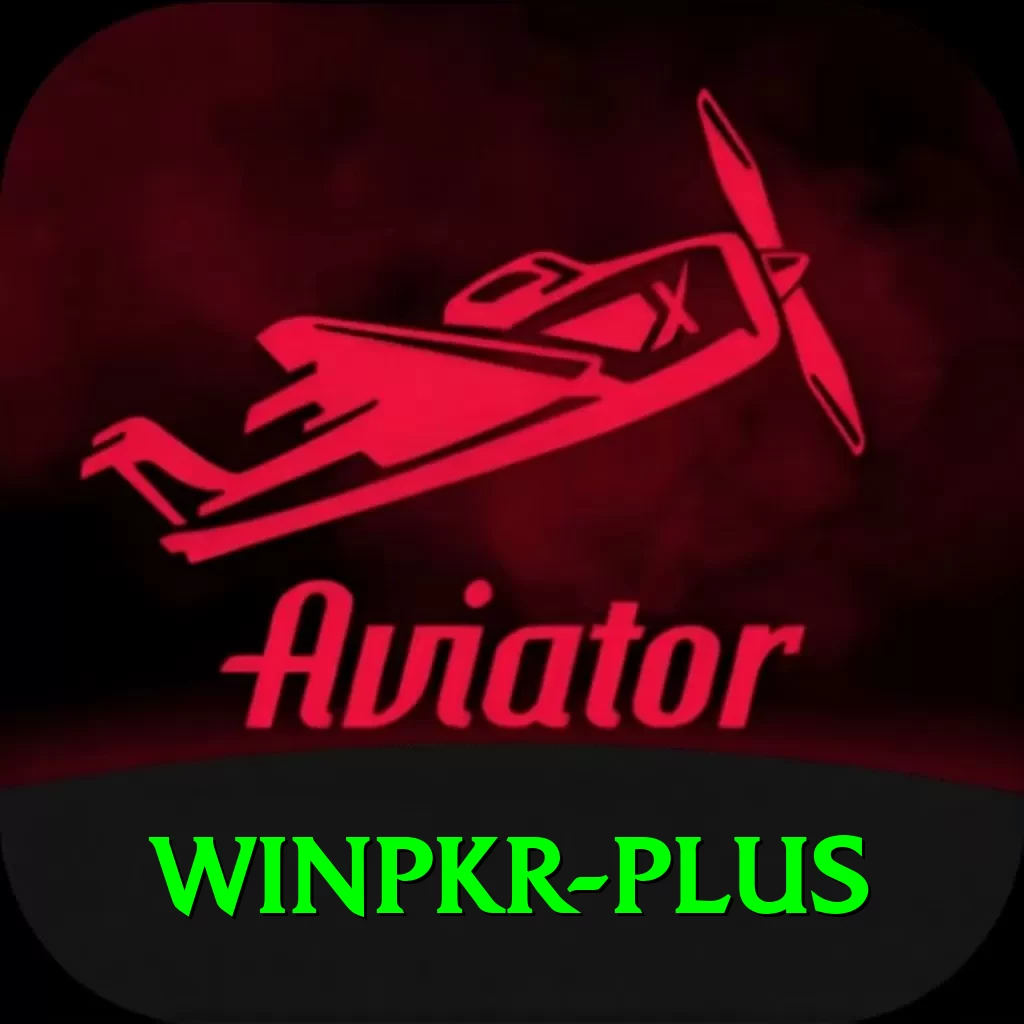 winpkr Pro Max vv2.0.2 - 2