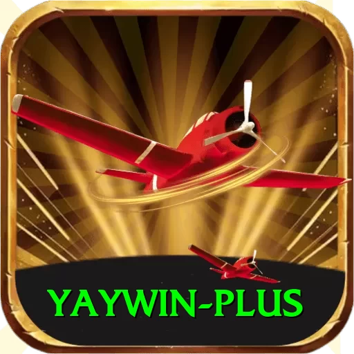 yaywin Premium Edition v3.7.9 - 2